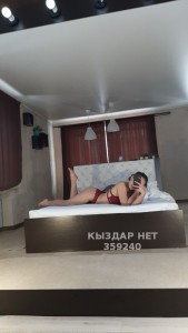 Проститутка Павлодара Анкета №359240 Фотография №3019898